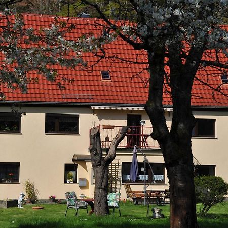 Ferienwohnung An Der Elbe Stadt Wehlen Extérieur photo