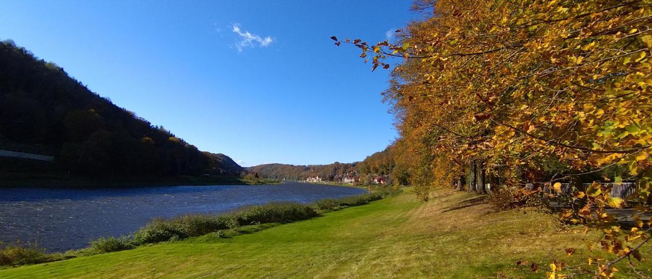Ferienwohnung An Der Elbe Stadt Wehlen Extérieur photo