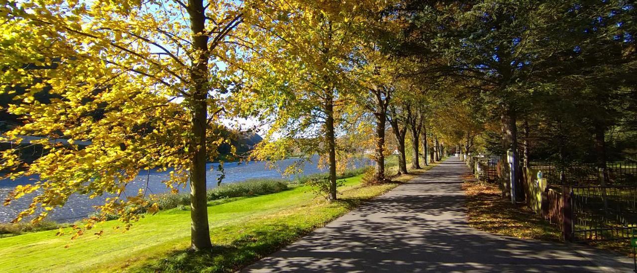 Ferienwohnung An Der Elbe Stadt Wehlen Extérieur photo