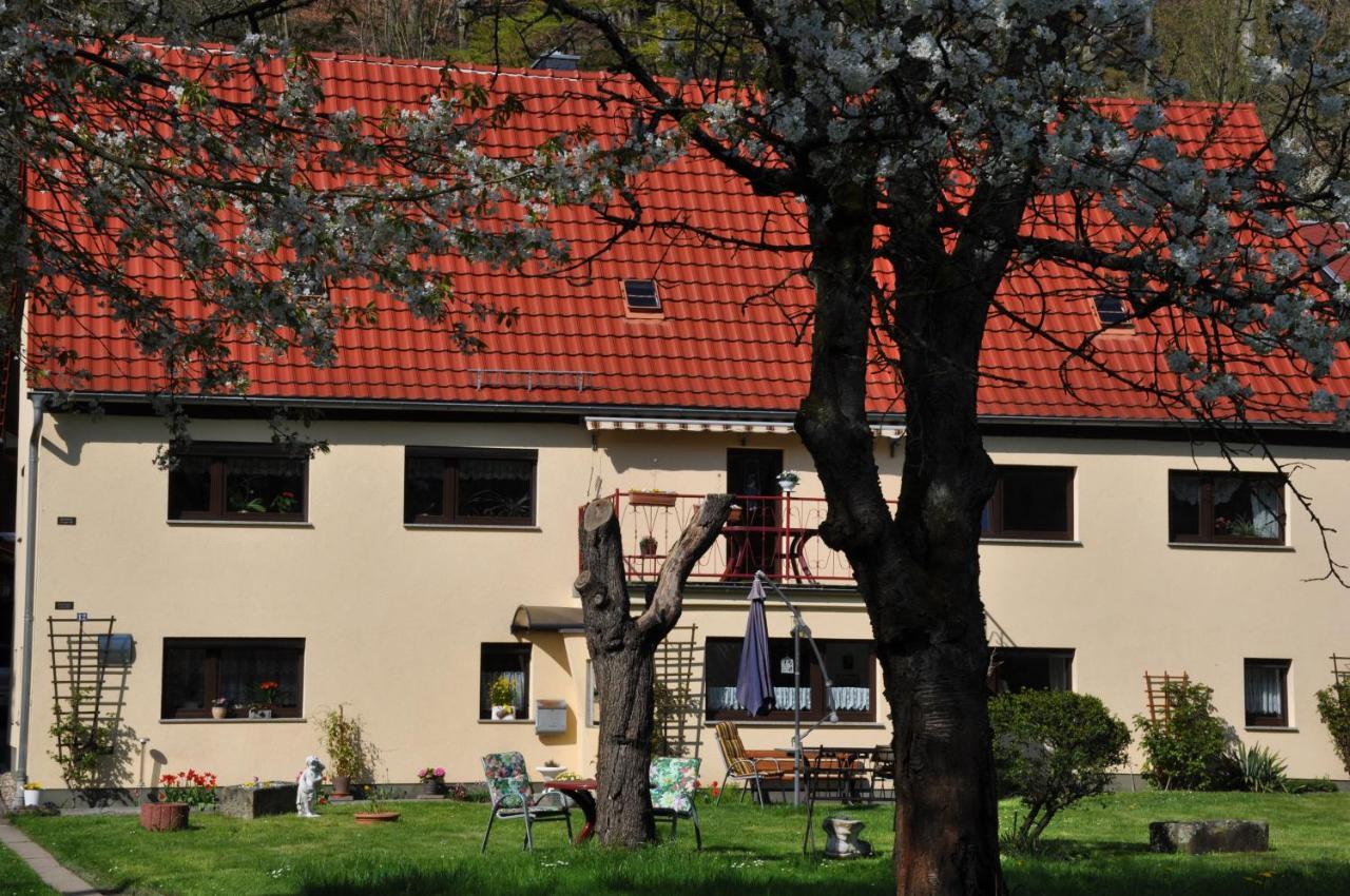 Ferienwohnung An Der Elbe Stadt Wehlen Extérieur photo